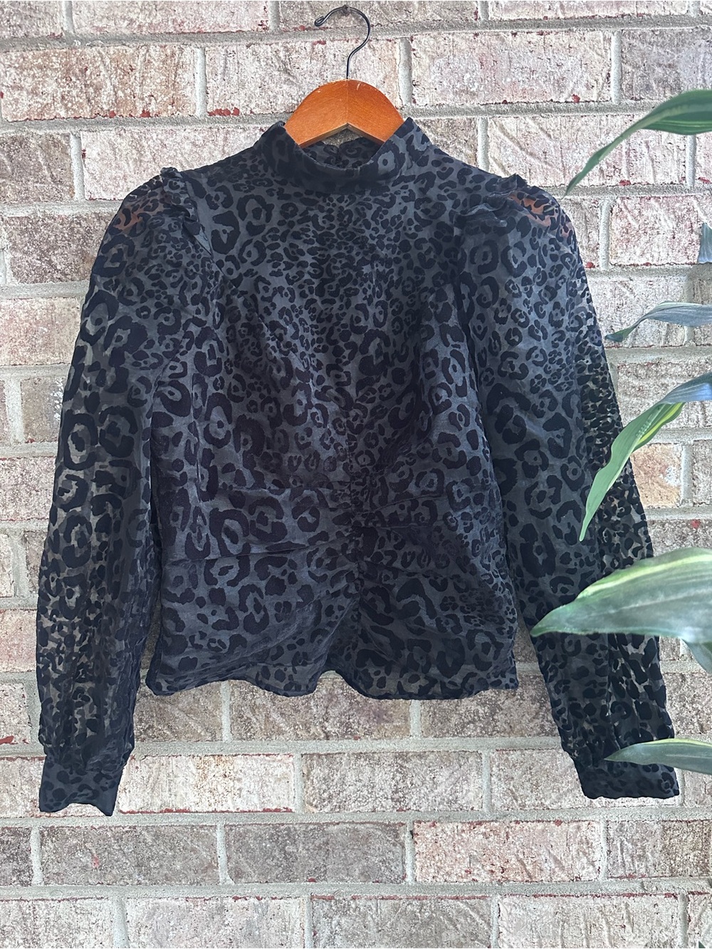 Zara Victorian Whimsy goth Sheer Blk Leopard High Neck Puff Sleeve Blouse Small